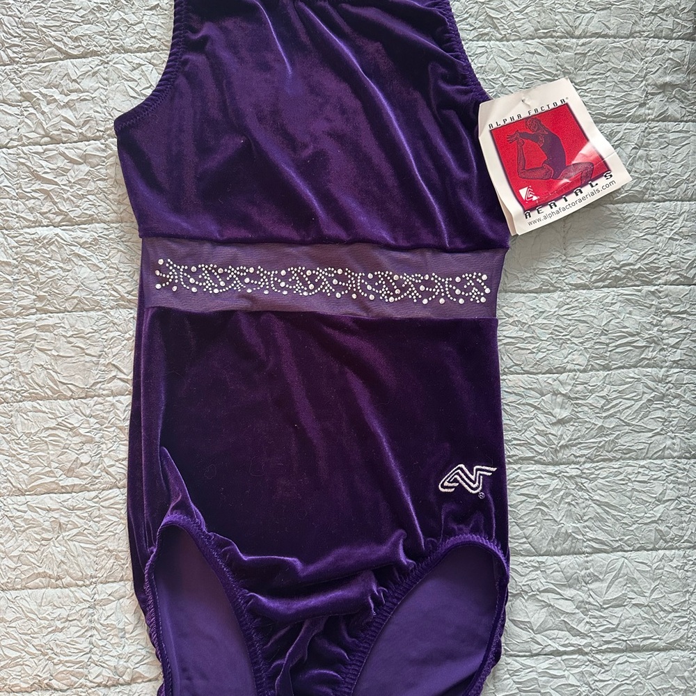 Purple Velvet Leotard with Rhinestone Detail